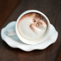 Handmade Cute Cat Coffee Cup & Saucer Set - 210ml
