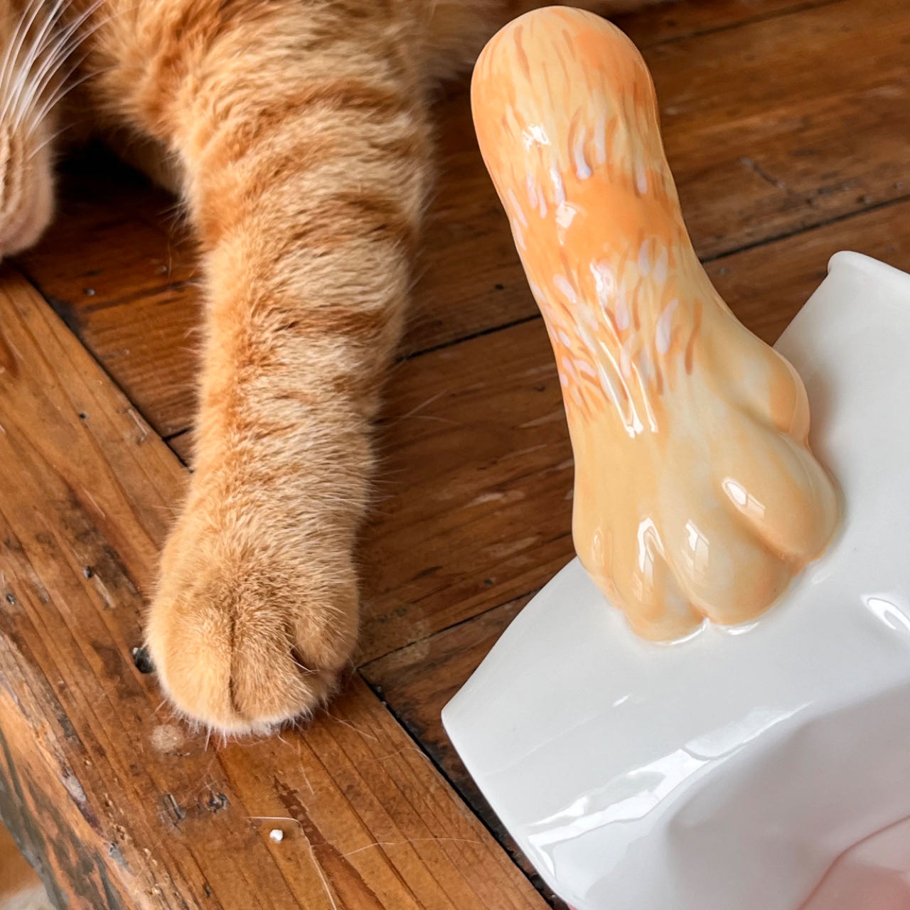 Cat paw tilt mug — stable optical illusion base, looks like a cat pushed it, MeowCeramics